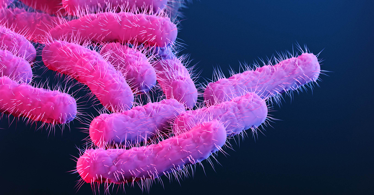 Shigella outbreak subsiding, but answering the “why” continues