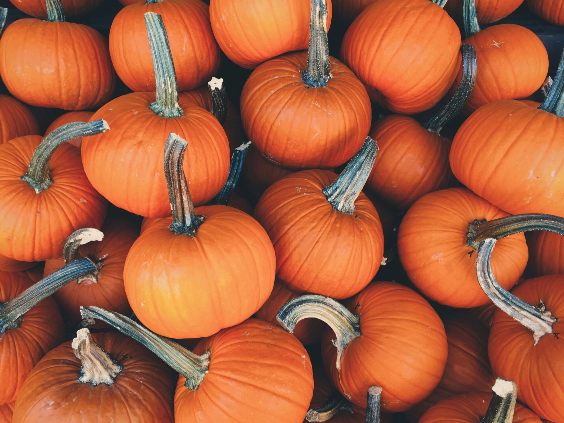 Mayor warns against door-to-door trick-or-treating as Coronavirus cases and deaths surge, alternative trick-or-treating venues offered